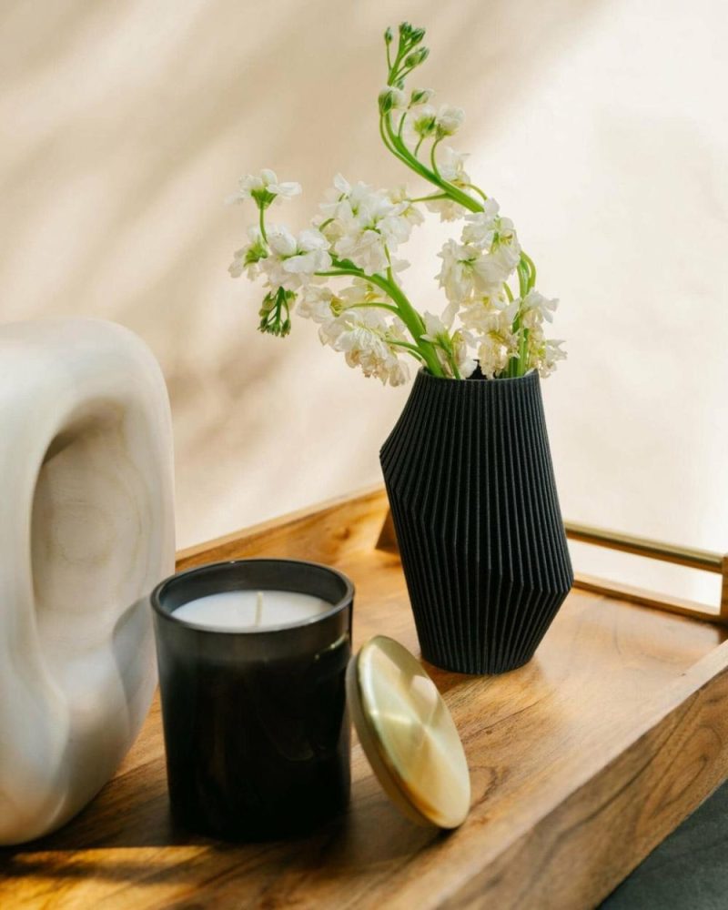 Organic Modern Vases | Nova™ Modern Black Vase Organic Modern Vases Organic Modern Vases