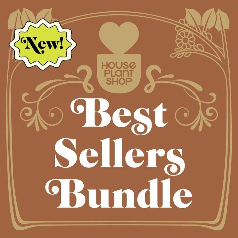 Plants | Best Selling Bundle Plants Plants