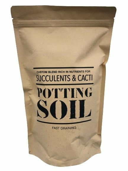 Plants | Generic Succulent And Cacti Potting Soil – 1 Lb Bag Plants Plants