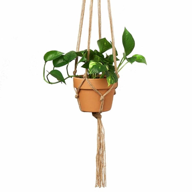 Plants | Macrame Hanger – Designed For 5 – 7 Inch Planters Plants Plants