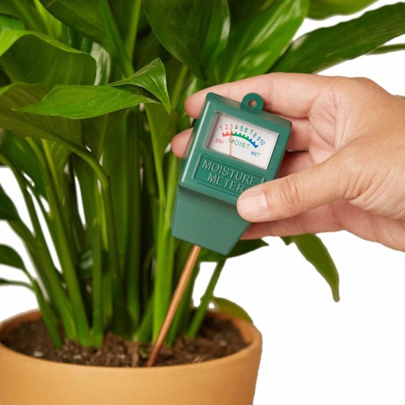 Plants | Moisture Meter Plants Plants